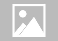 金年会官方入口-欧洲篮球球员