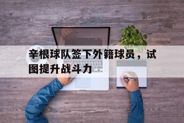 辛根球队签下外籍球员，试图提升战斗力(归化球员费南多简介)